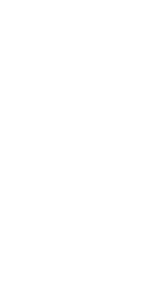 Parametriks